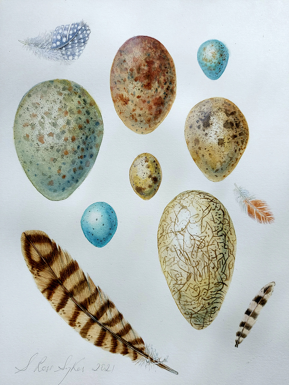 studio image